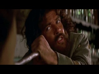 Zorro.1-1 Zorro.1-1